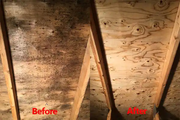 water damage restoration service Redwood Falls